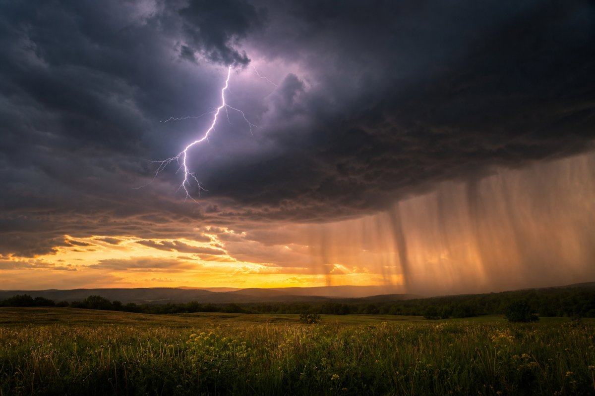 Rever orage catharsis